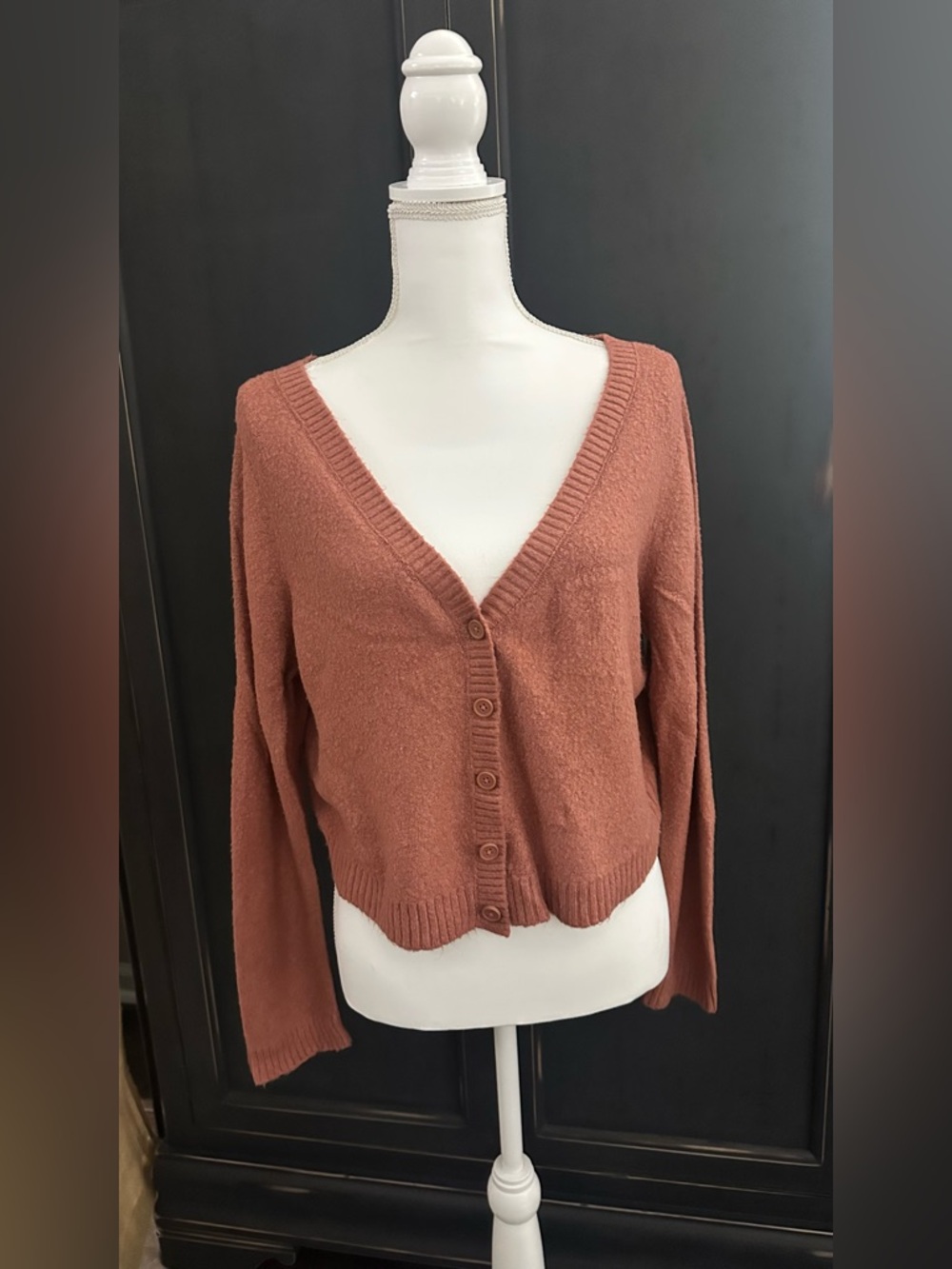 American Eagle Outfitters Rust V-Neck Button Cardigan